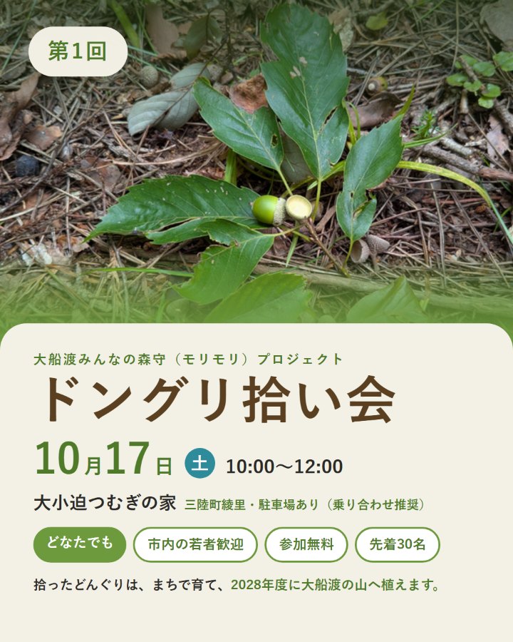 第1回 ドングリ拾い会。10月17日（土）10:00〜12:00、大小迫つむぎの家。どなたでも、参加無料、先着30名